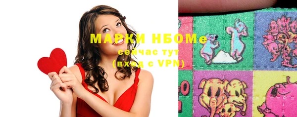 шишки Новозыбков
