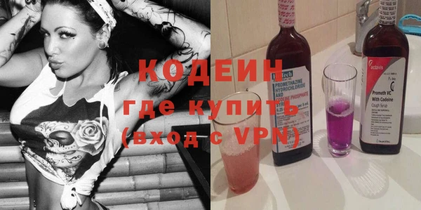 шишки Новозыбков