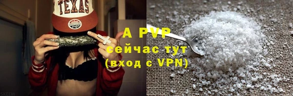 шишки Новозыбков